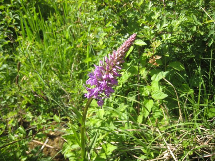 15. Pilgerstammtisch Beuren 014 kl