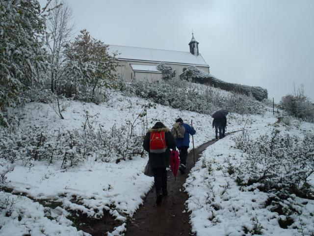 PA270196_640x480