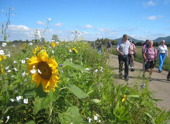 Sternpilgern2014-6