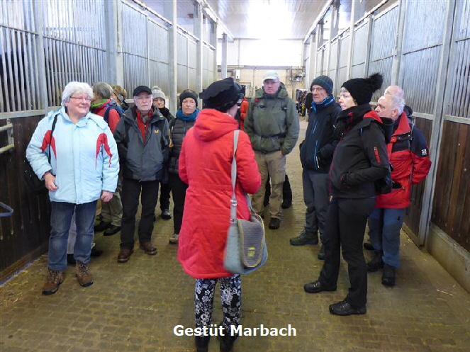 6 HJG-Winterwanderung- Gest�t Marbach 1.18 kl 016