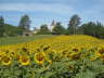 Camino 2013 041