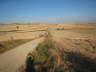 Camino 2013 424